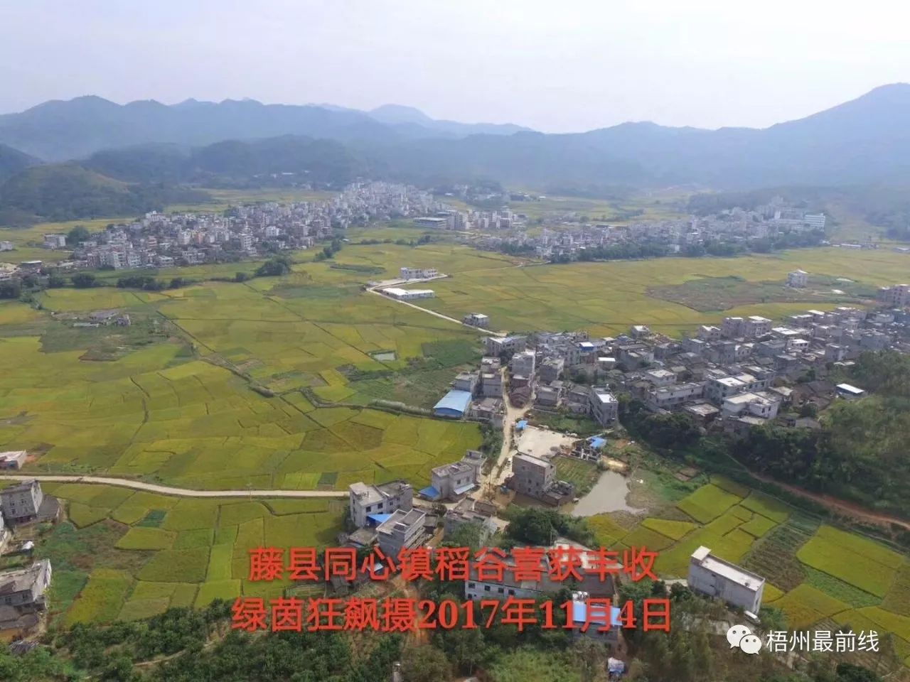 航拍壮观藤县农村秋收景象你见过吗