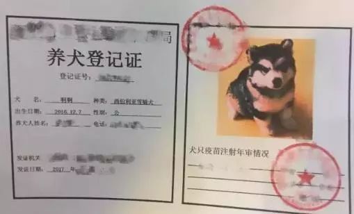 养狗需要证吗?我是上海的?