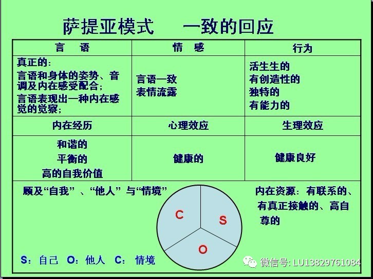 【萨提亚】萨提亚模式理论架构