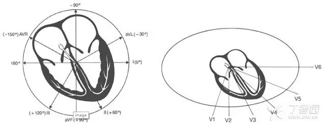 心电图的额面   轴及胸导联系统