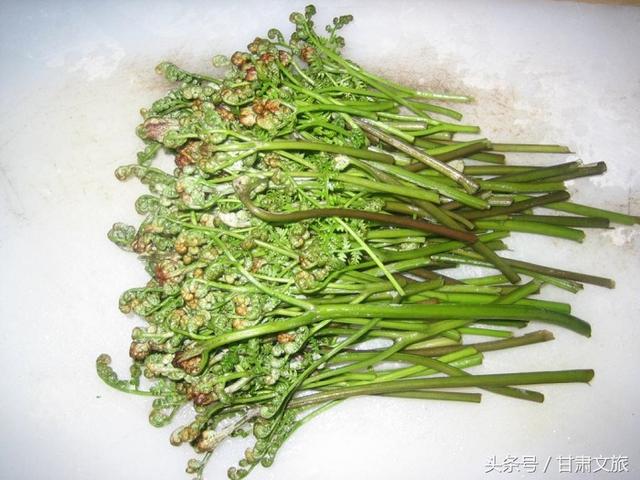 那些生长在甘肃大地上的野菜你都见过吗绝对的美味佳肴