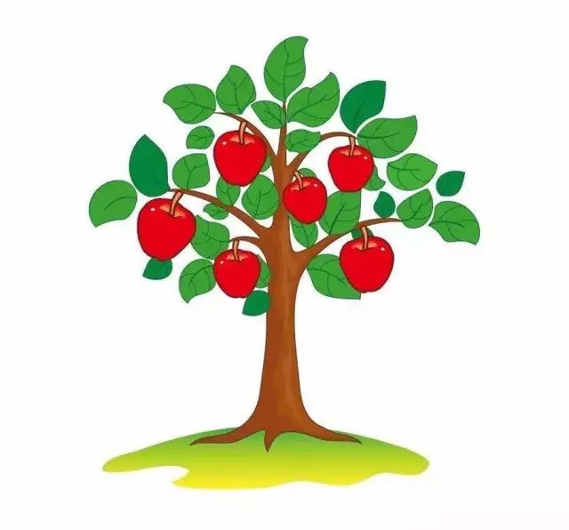 【果园管理】从秋季施肥看果树营养,合理施肥才是诀窍!