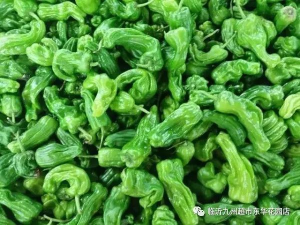 沂南青椒 1.65 元/500g