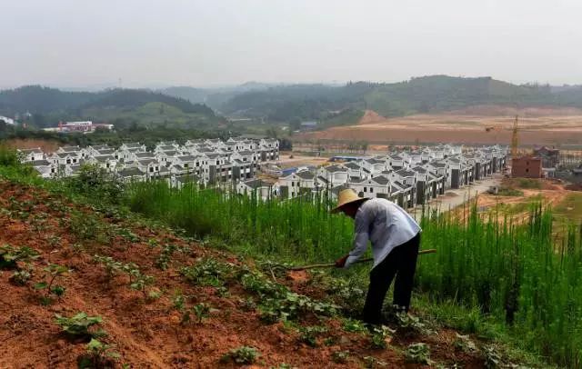 土地性质不明确不要盲目流转！租地过程OB体育中必须注意的7个关键问题(图2)