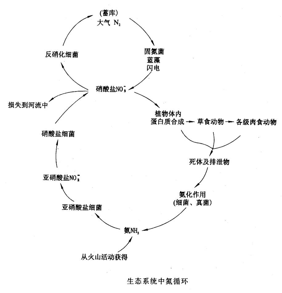 没有共产党就没有新中国简谱(2)