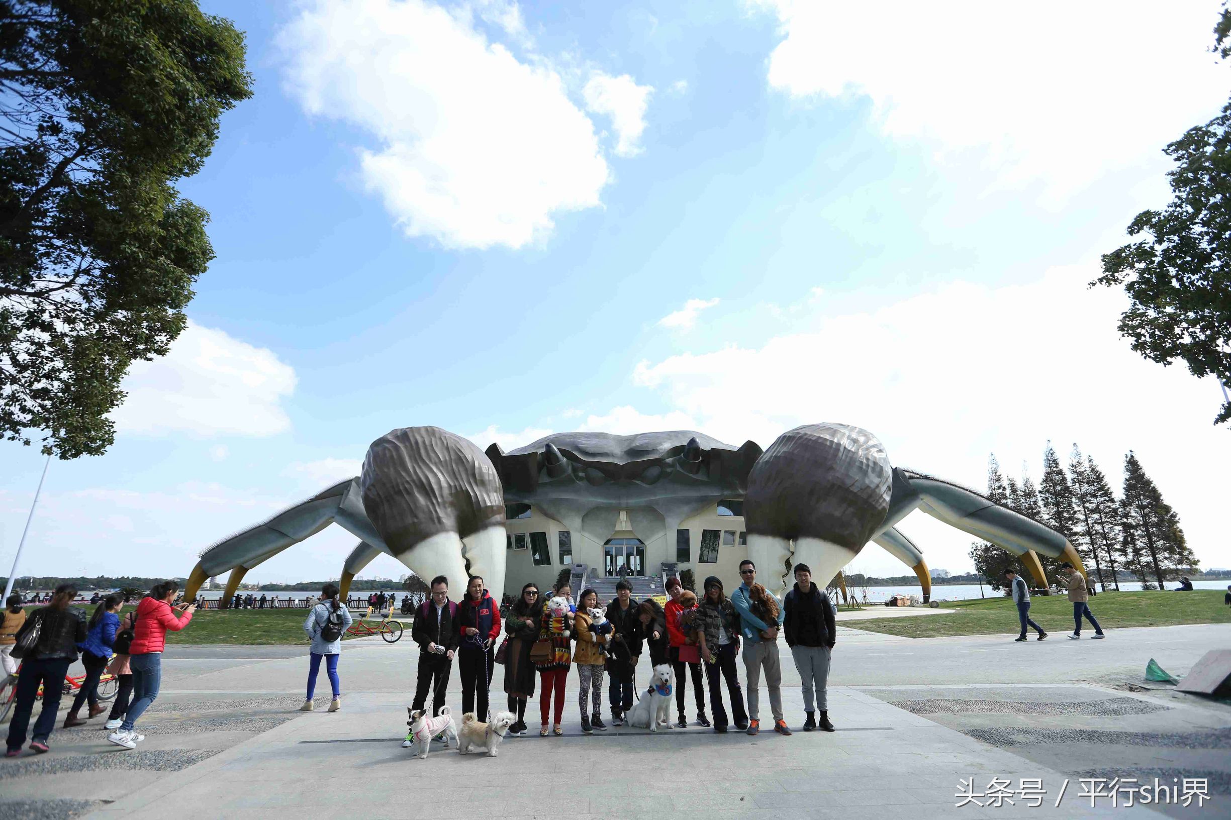 建筑,可谓栩栩如生,白肚内可容纳三层空间,而且建筑其大鳌上的绒毛,青