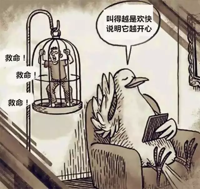 当你变成笼子里的鸟儿时 ▼