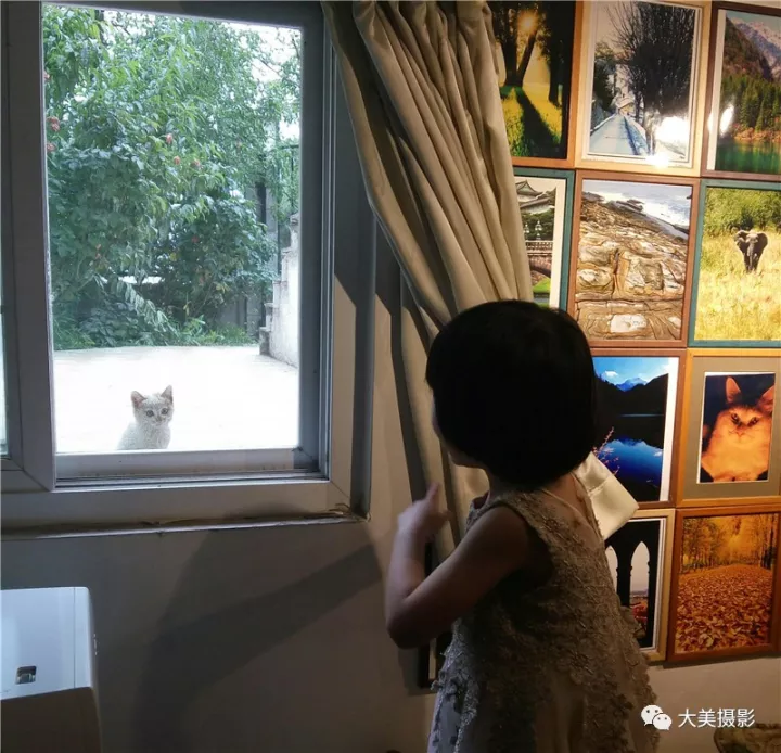 和你一起看中国移动员工手机摄影展获奖作品公布