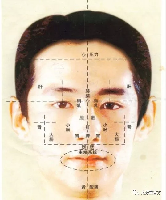 呵护好身体反射的"镜子"——脸,也就呵护好了你的健康