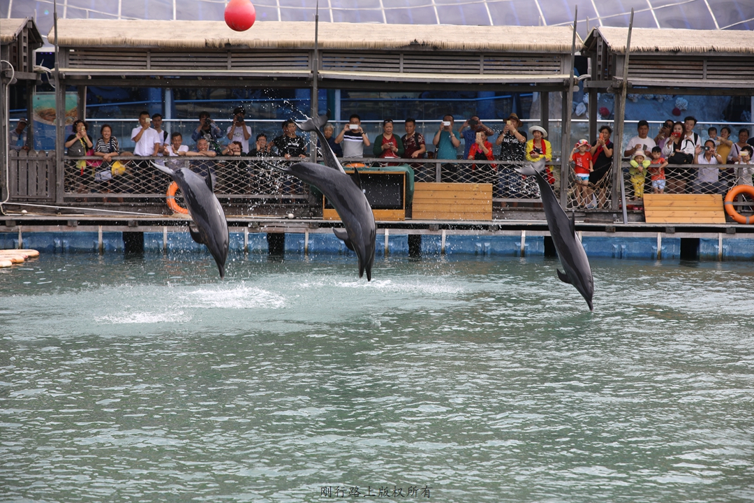 海豚表演水族馆的环境描写
