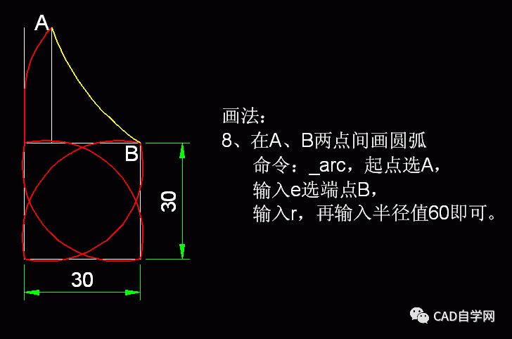 cad进阶级练习题及详细答案48