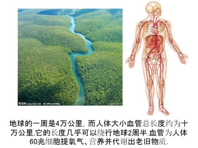 喝啤酒肩膀酸痛怎么办