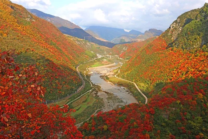 金秋十月 锦绣陇南 | 深秋,最美的青泥古道