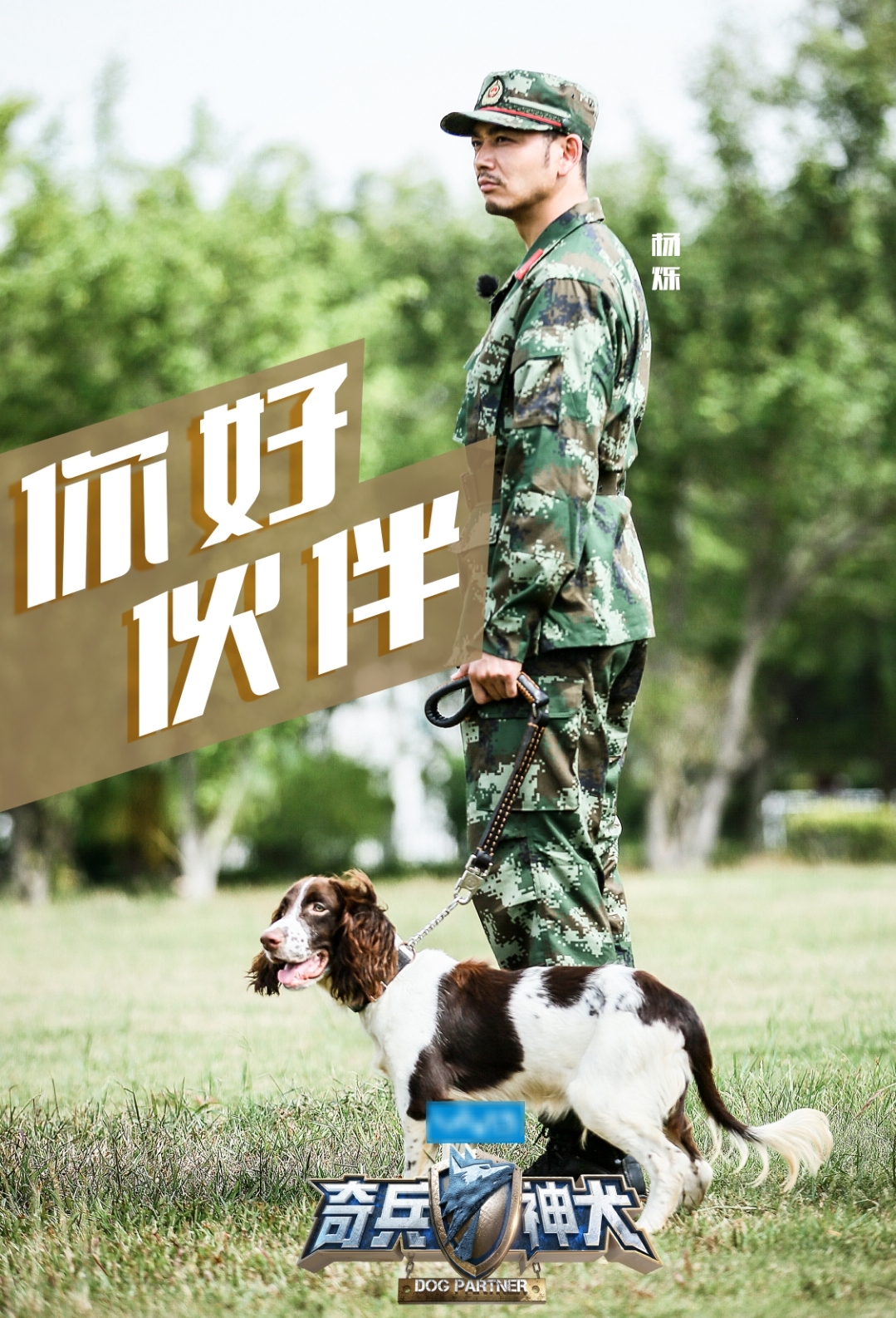 杨烁《奇兵神犬》邂逅"初恋"史宾格 铁汉幼犬反差萌