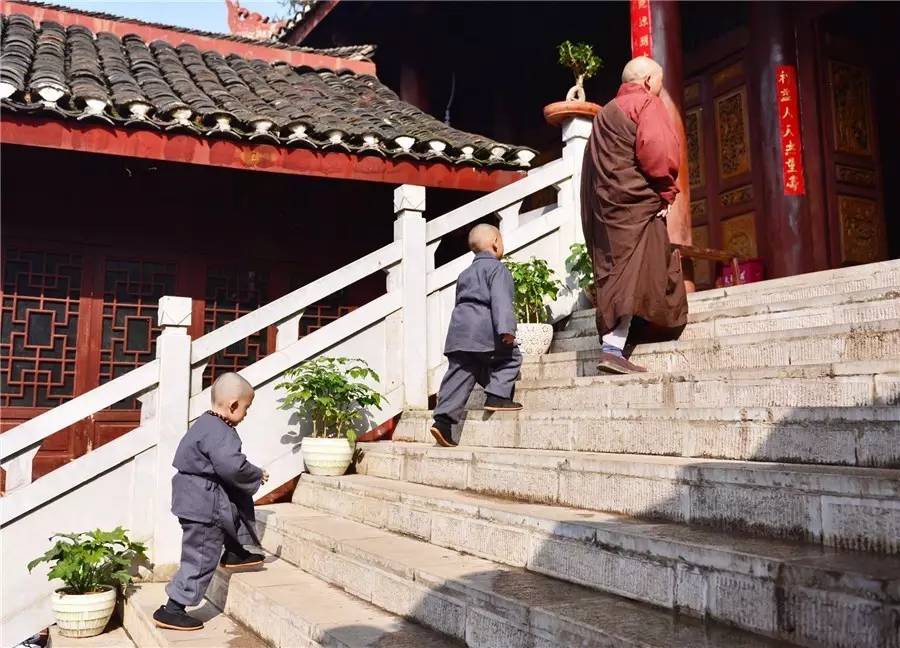 贵州千年寺庙里有群小和尚,一不小心萌化全世界!但更美的却是.