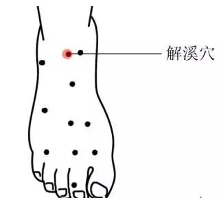 位置:在足背与小腿交界处的横纹中央凹陷中,当拇长伸肌腱与趾长伸肌腱