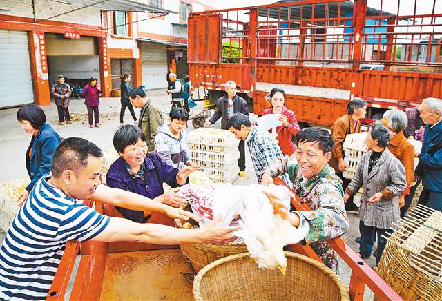 农村贫困人口脱贫_农村脱贫攻坚图片(2)