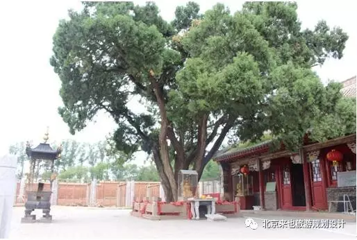 旅游 正文 永昌德胜寺 通过实地考察并与主要负责人沟通交流,项目组