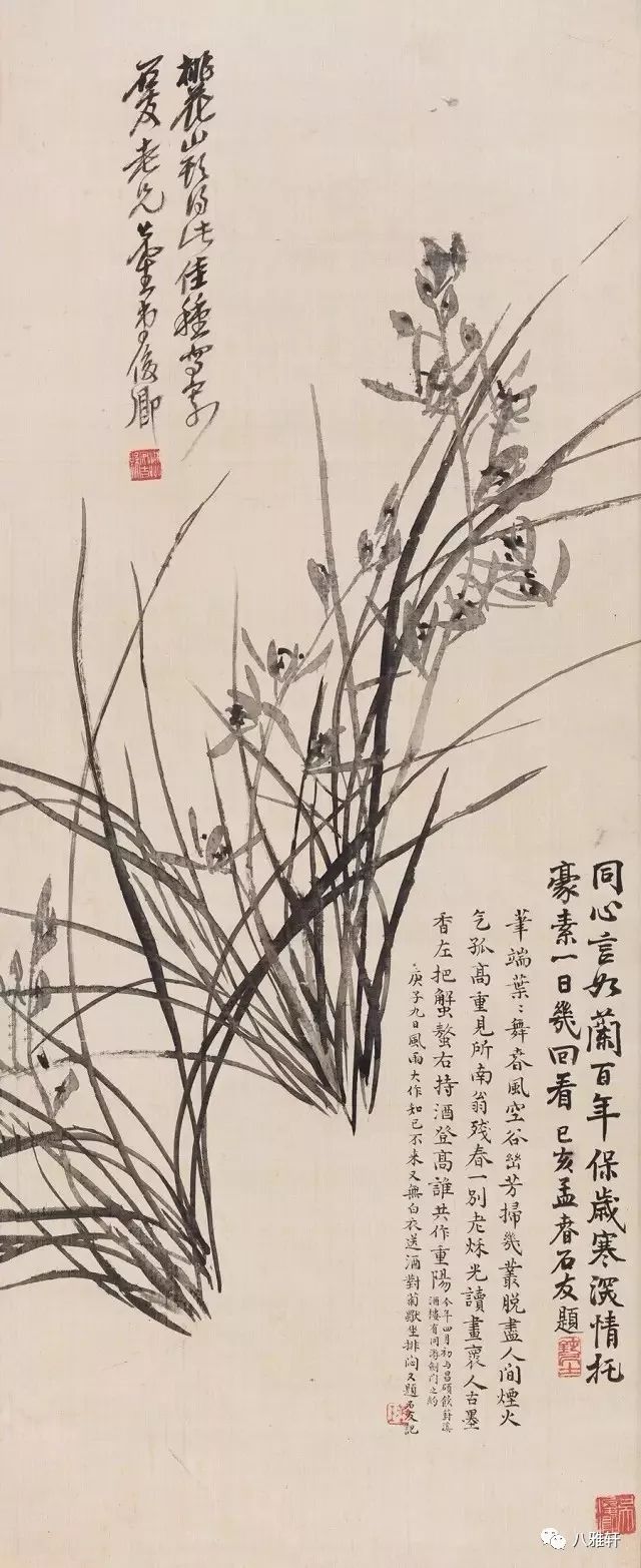 吴昌硕兰花