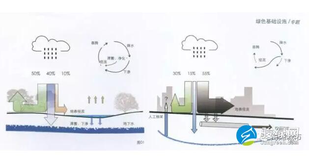 图片来源:绿色雨水基础设施构建城市良性水循环