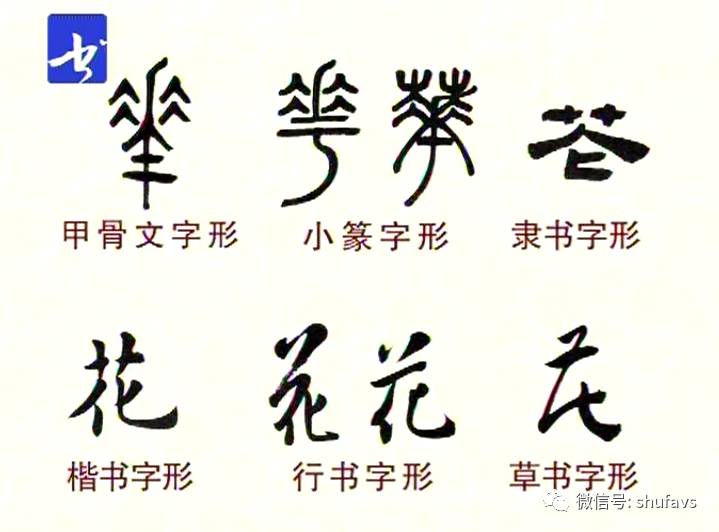 书法教学 高秀清《一日一字》