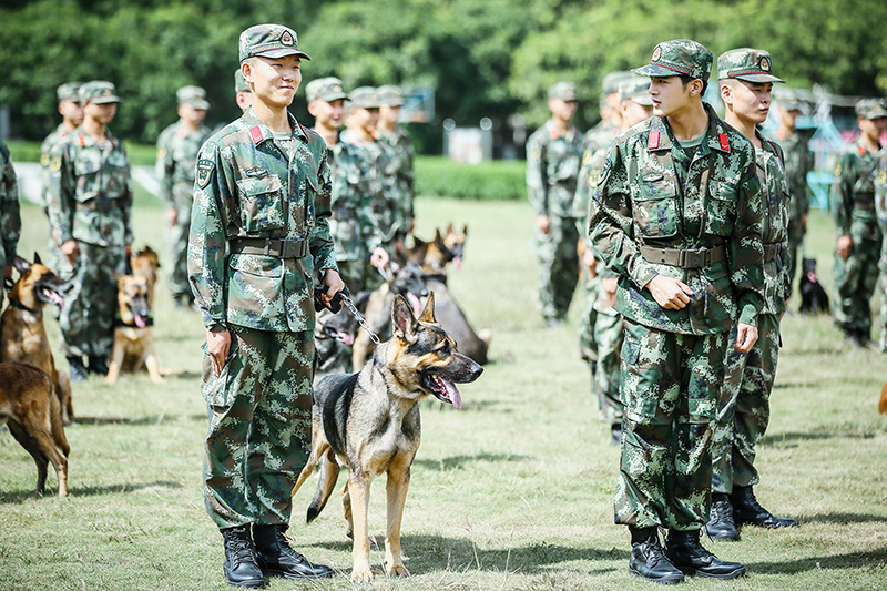 《奇兵神犬》犬阵60选1 张大大犬脸盲状况百出