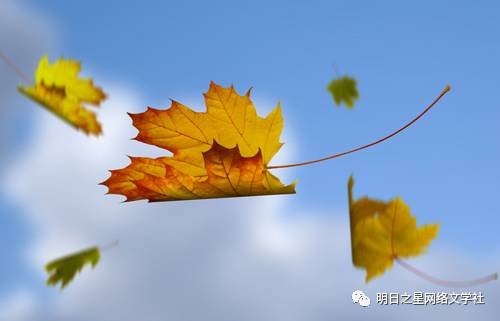 还把树叶变干了,被风一吹,好似一只只枯叶蝶在空中飞舞