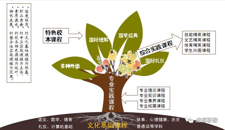 植物分类思维导图