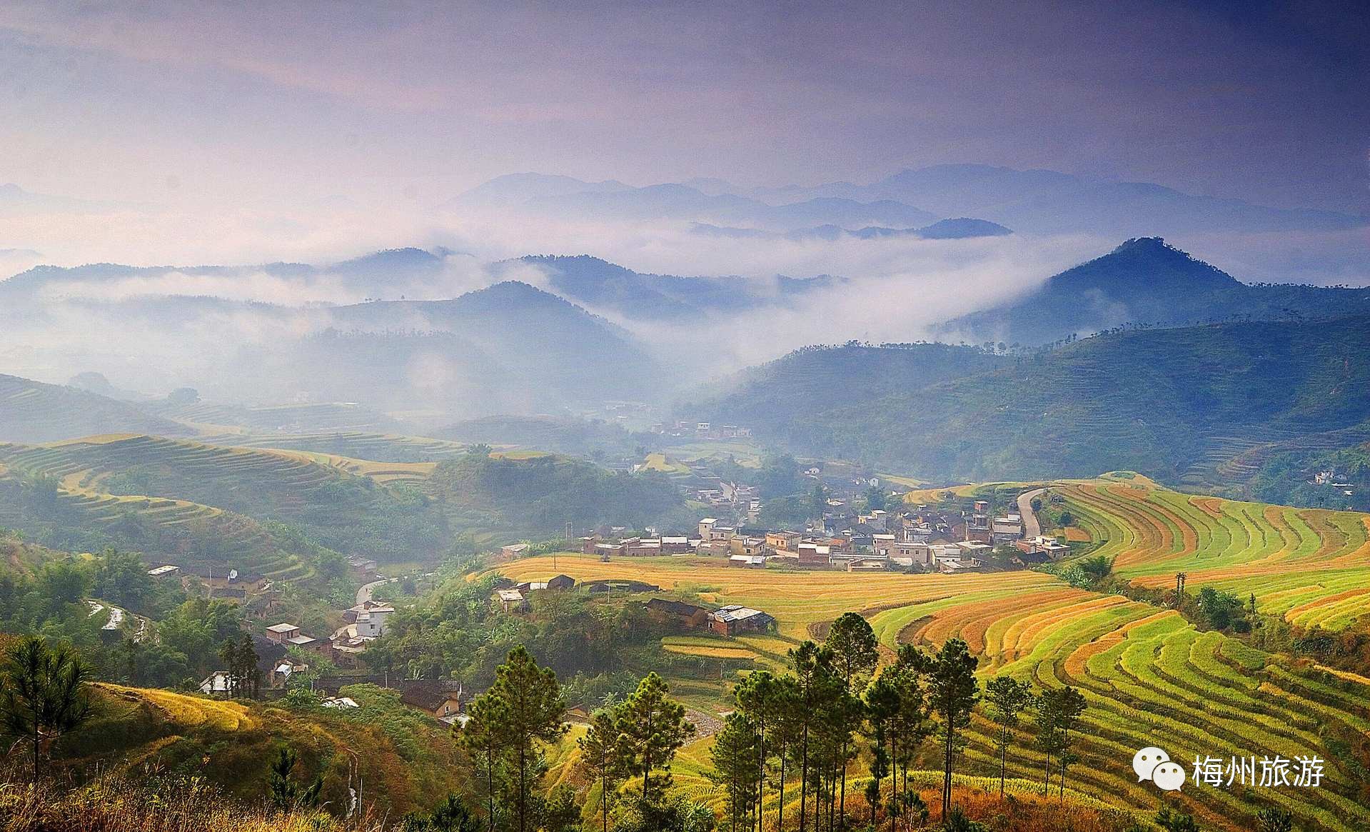 大埔县大东镇坪山村