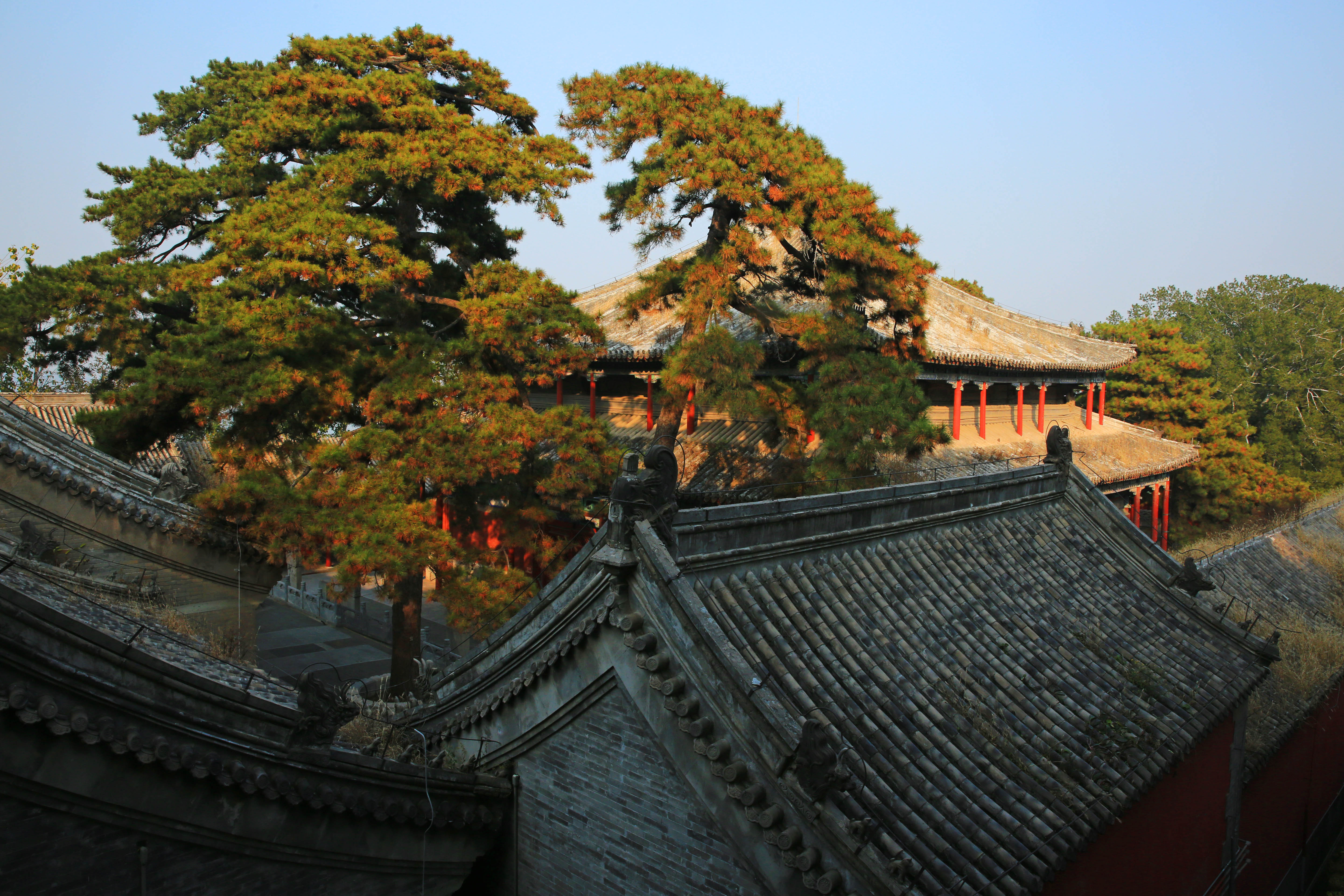 这座与潭柘寺毗邻的寺庙其地位一点也不比潭柘寺低,游客却少得多