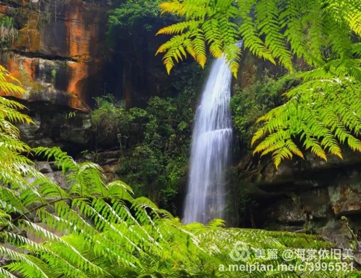 摄影|嘉阳·桫椤湖美景