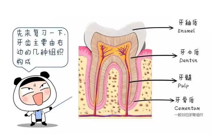 【牙科见闻】都是同一个医生做的牙齿治疗，为什么效果就不一样呢?