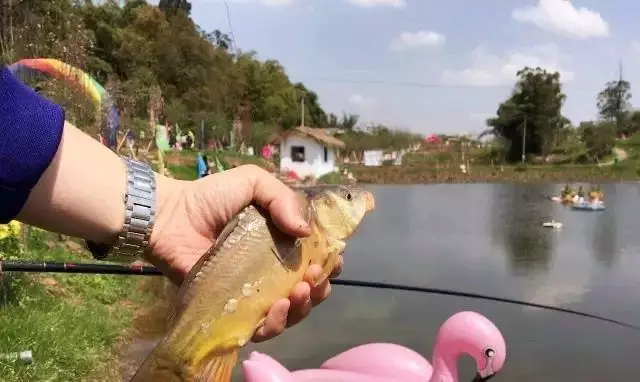 海门有多少人口_练江整治 问责利剑高悬下的干部都做了什么(3)