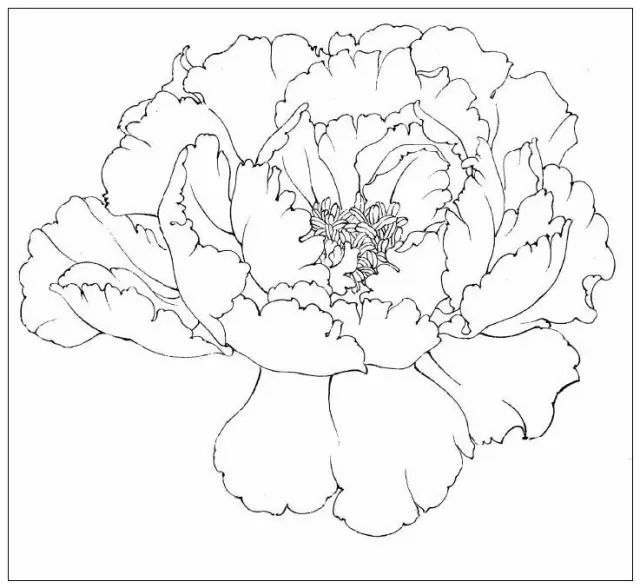 干货|中国工笔画花鸟白描和牡丹花头的染法(含视频教程)