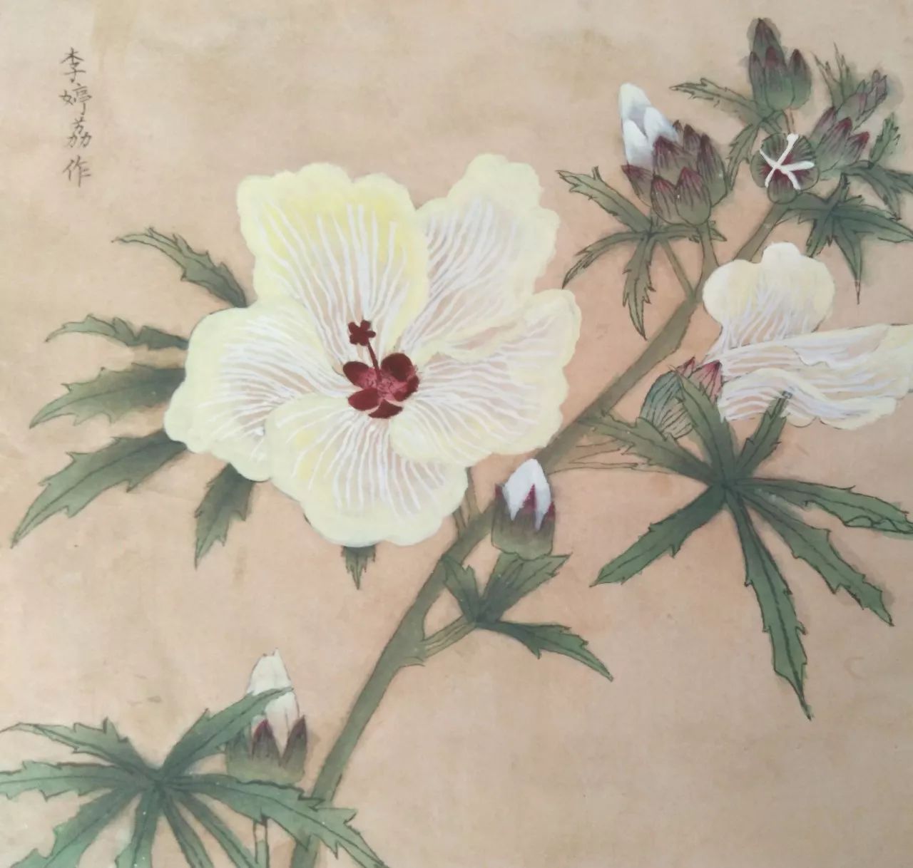 分享一组 学生工笔画