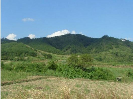 道先生讲寻龙的本质就是寻到地气,山区和平原这样做阴宅最好