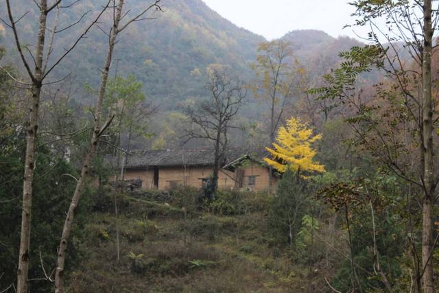 农村的风景|湖北关三十六岩