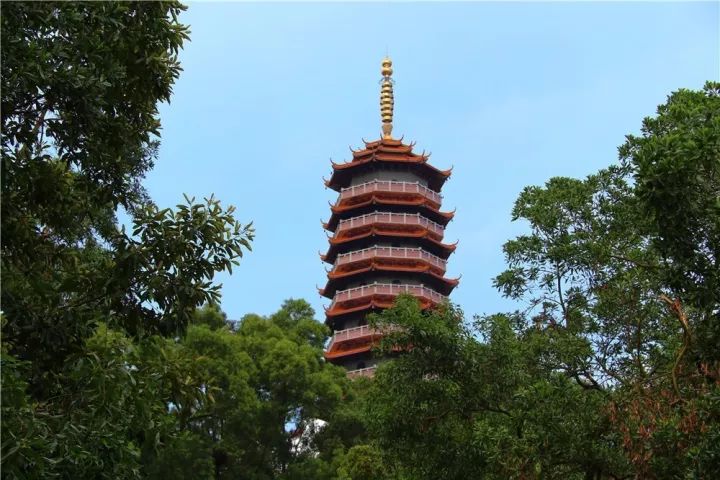 站在龙光塔上,观尘世喧嚣.远望去,城市如积木.