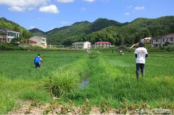 农村人口土地_农村人口(2)