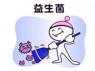 益生菌之双歧杆菌