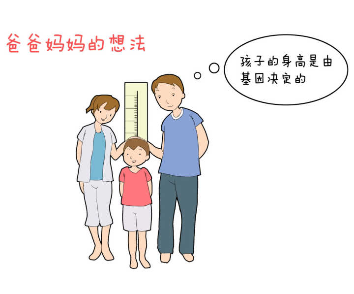 漫画:孩子的身高高低有哪些因素决定