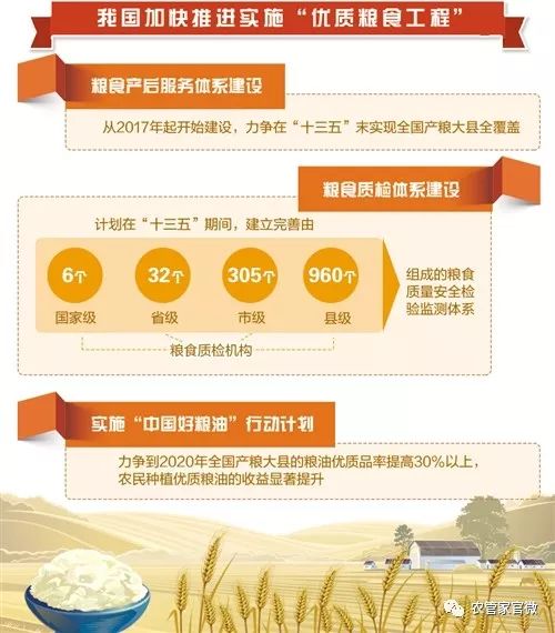 国家启动实施“优质粮食工程”——从“多产粮”转向“产好粮”