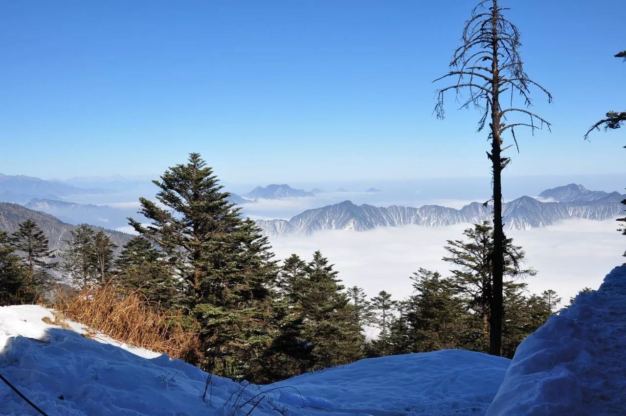 免费送门票!每人送西岭雪山2天1夜套票2张,陪你去看2017年的第一场雪!