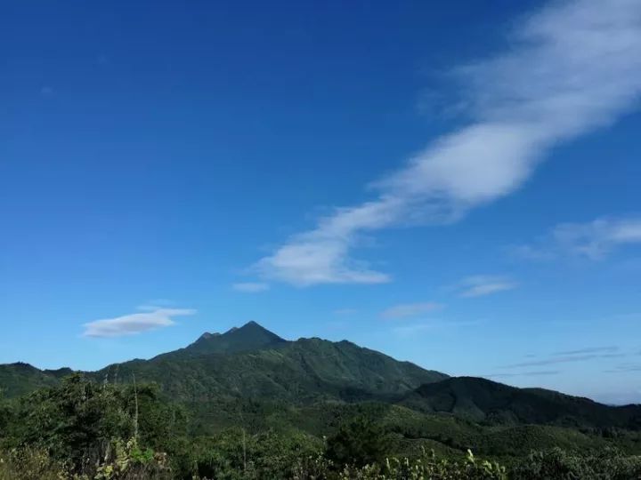 石咀人口_桂平石咀二中校园照片