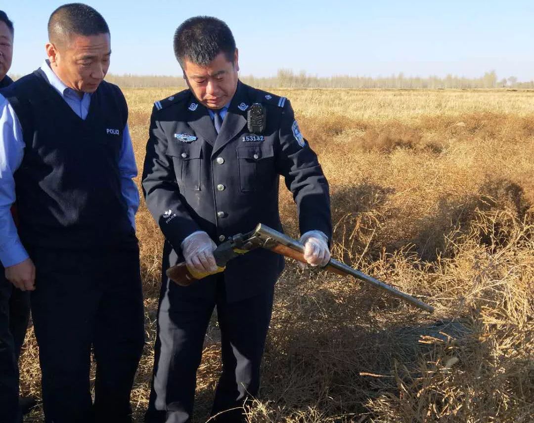 痛心!四男子在内蒙古持枪狩猎，野鸡体内现大量散弹钢珠_搜狐社会_搜狐网