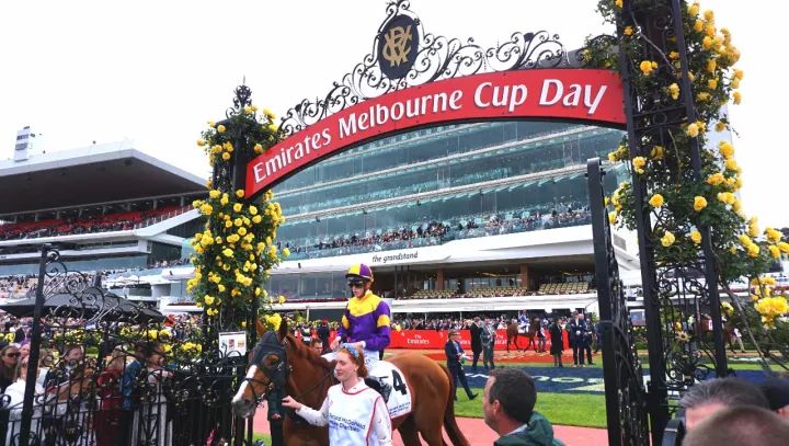 melbourne cup day! 引爆全民疯狂!