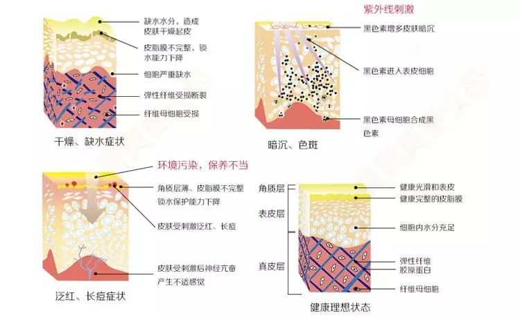 【思迈独家】你一定要知道的皮肤亚健康!