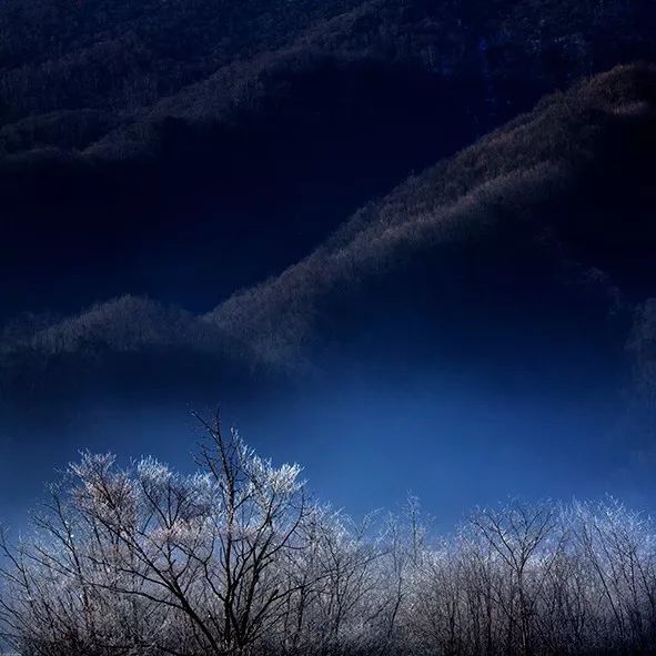 丽水——风花雪夜 · 意象风景