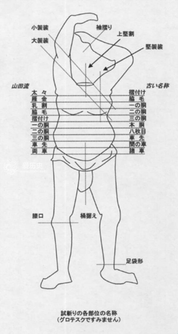 曰国人口_人口普查(3)