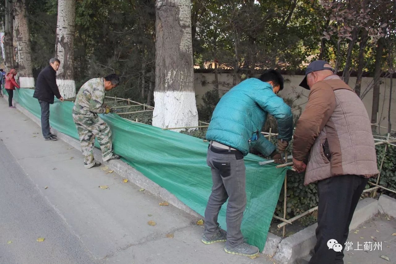 区市容园林委组织人员分别为喜邦公路,州河湾周边的绿化灌木进行冬季